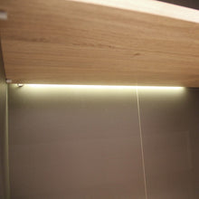 Load image into Gallery viewer, Display Unit Lighting (2 Pack L-460 Prismatic Lightening with GB Plug)
