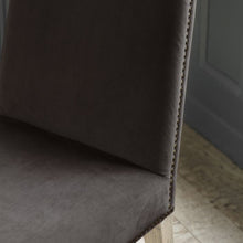 Load image into Gallery viewer, Rex Mouse Velvet Dining Chairs (Pair)